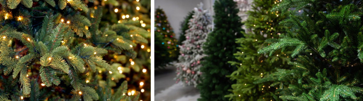 Lighted Trees