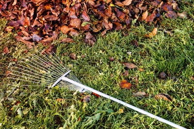 5 top tips for a great autumn lawn