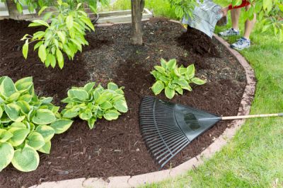 Reduce weeds with mulch