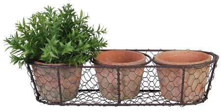 3 Aged Terracotta Pots In Wire Basket