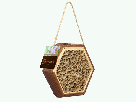 Bee Honeycomb
