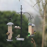 Bird tables & feeders