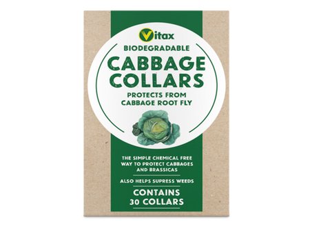 Cabbage Collars 30