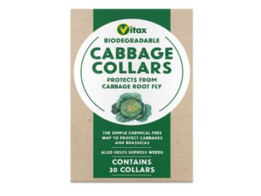 Cabbage Collars 30