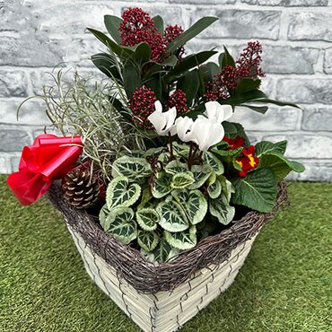 Christmas basket planter