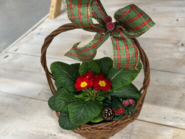 Christmas basket (small)