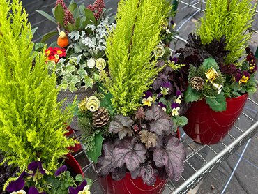 Christmas planter in red pot
