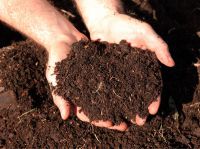Composts & mulch