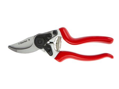 Expert Bypass Pruner