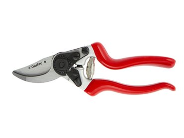 Expert Bypass Pruner