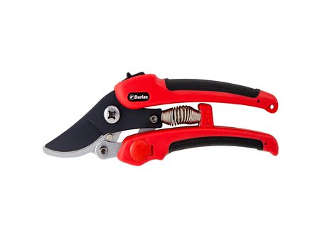 Compound Action Pruner