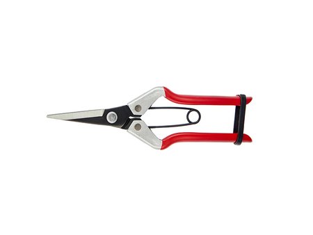 Vine Scissor