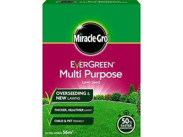 Evergreen  Multipurpose Lawn Seed 56sqm  1.7Kg