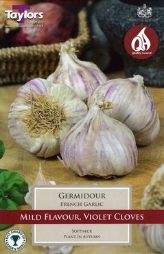 French Garlic Germidour   2 bulbs per pack