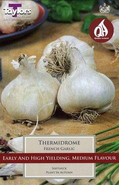 French Garlic Thermidrome   2 bulbs per pack