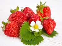 Fruit plants