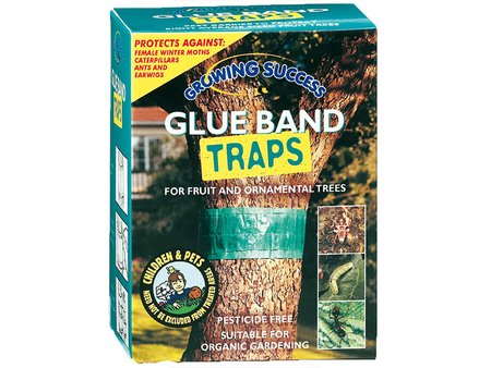 Gs Glue Band Traps
