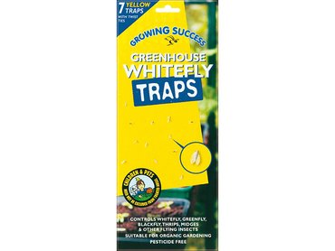 Gs Greenhouse Whitefly Traps