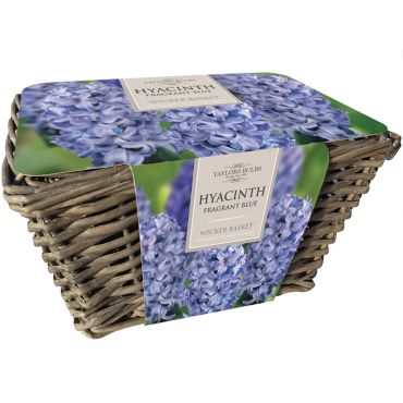 Large Hyacinth Basket Blue