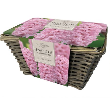 Large Hyacinth Basket Pink