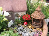 Miniature & Fairy Gardening