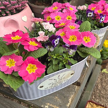 Mother's Day Planter 15