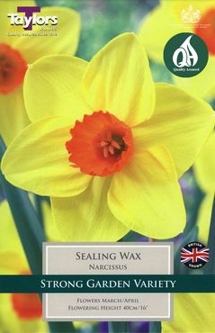 Narcissi Sealing Wax
