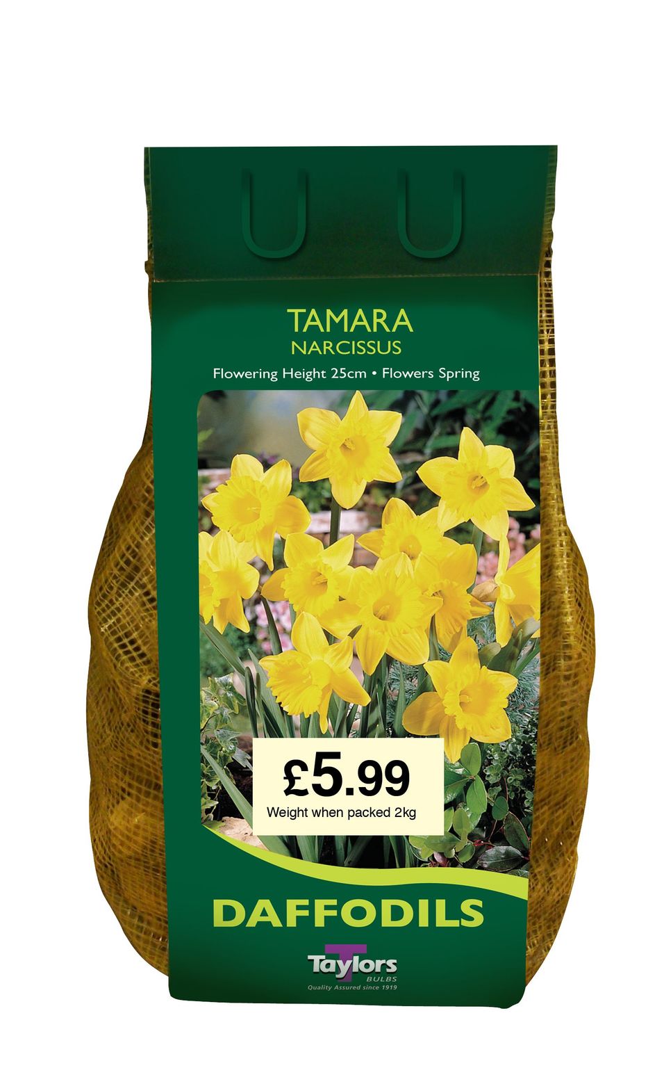 Narcissi Tamara CarriPack Merryhatton Garden Centre