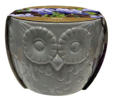 Novelty Owl Planter 5-6