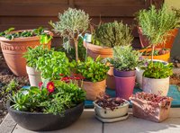 Outdoor Pots
