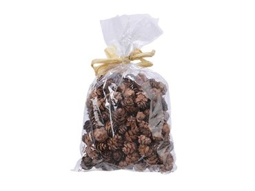 Small pine cones