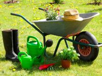 Plant & Garden Care