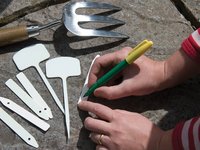 Plant labelling