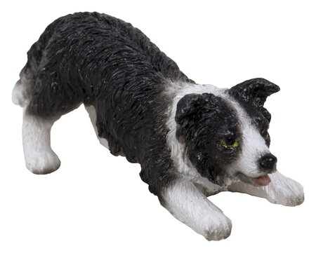 Playful Sheepdog