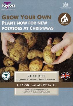 Potato Charlotte Taster Pack