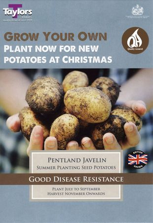 Potato Pentland Javelin Taster Pack
