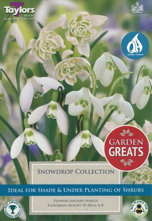 Snowdrop Collection