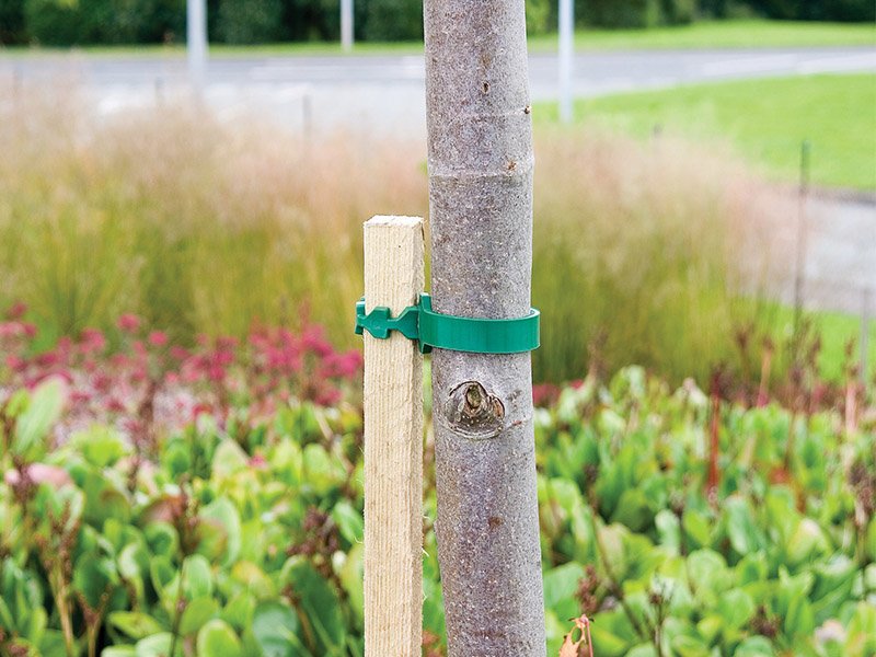 Square Tree Stake 1.53m x 30mm Merryhatton Garden Centre