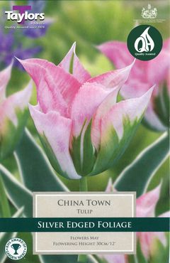 Tulip China Town