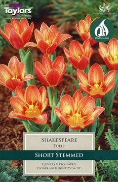 Tulip Shakespeare