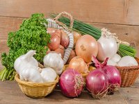 Vegetable plants